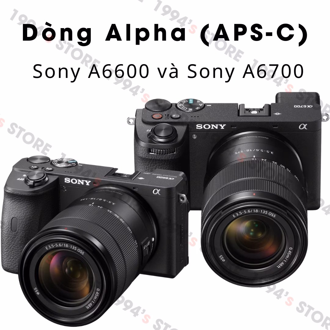 Pin cho máy ảnh Sony NP-FZ100 DATE 2023 – 2024
