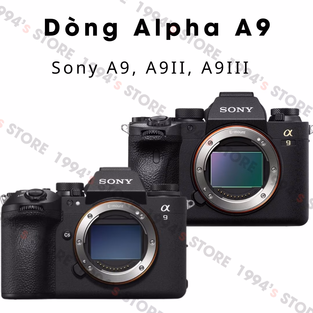 Pin cho máy ảnh Sony NP-FZ100 DATE 2023 – 2024