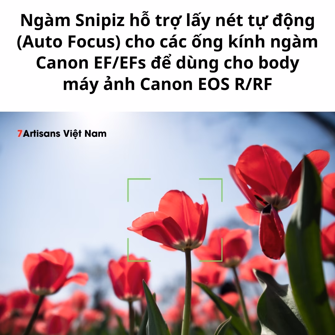 Ngàm chuyển  Auto Focus Snipiz EF-EOS R1