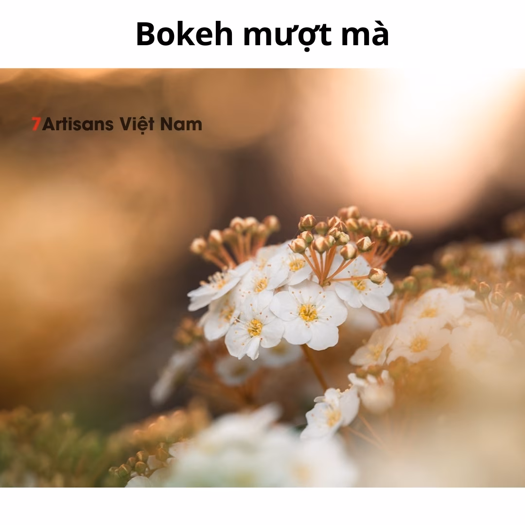 Laowa 90mm F2.8 2X Ultra Macro APO dành cho FullFrame