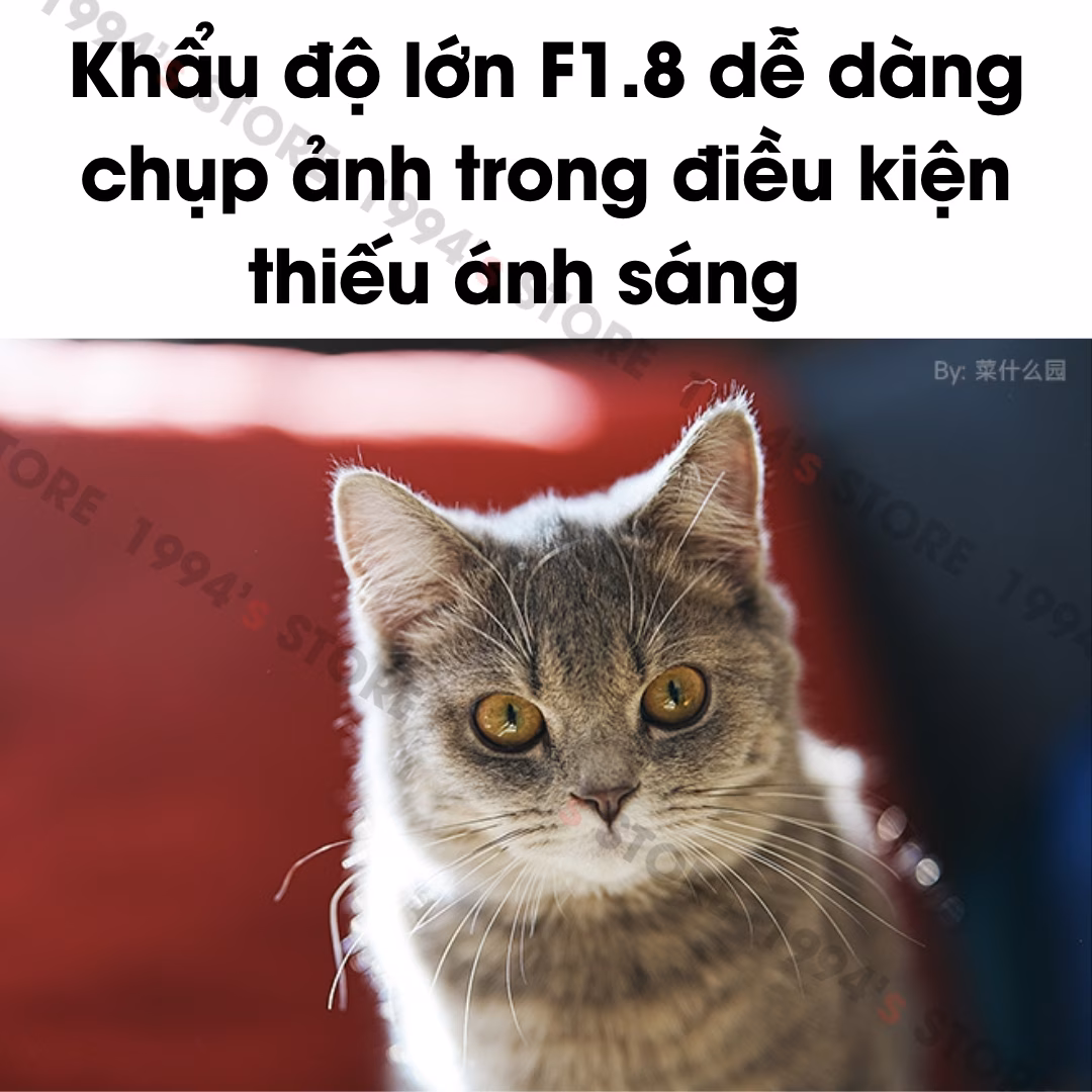 Brightin Star 85mm F1.8 AF – Lens chân dung xóa phông có Auto Focus for Full-Frame