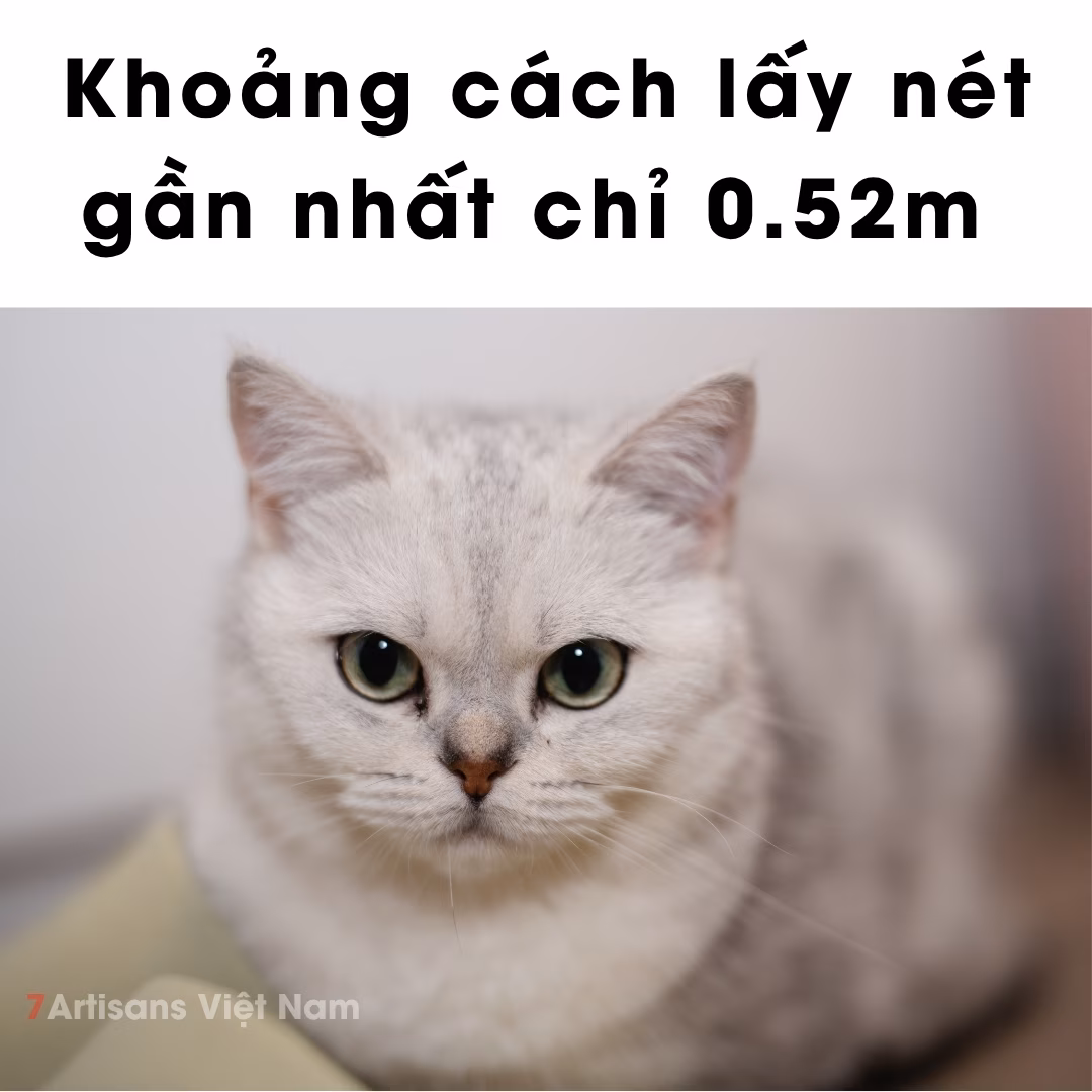 SongRaw Moonlit 50mm F1.2 Auto Focus cho Full-Frame