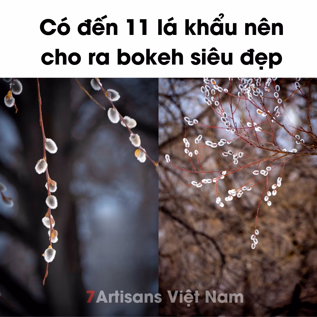 7Artisans 24mm F1.8 Auto Focus Full-Frame lens góc rộng đa dụng