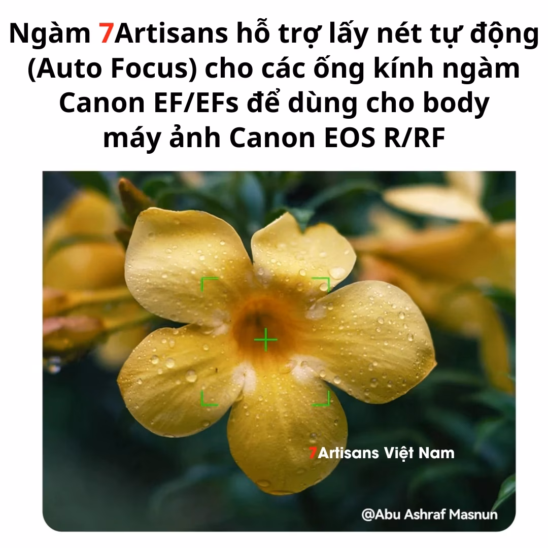 Ngàm chuyển 7Artisans EF-EOS R/RF cho ống kính Canon EF/EF-S và EOS R/RP