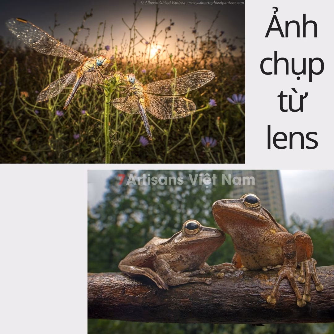 Laowa 15mm F4 Siêu Rộng Kèm Macro 1:1 FullFrame