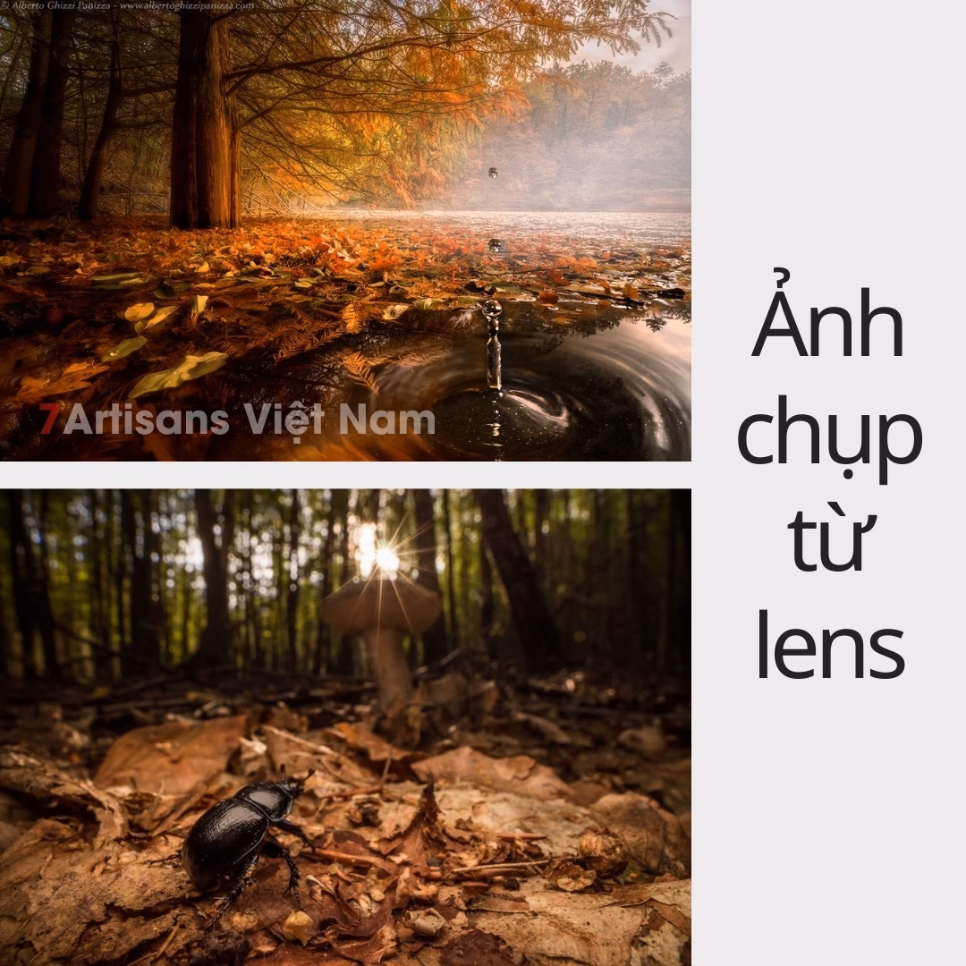 Laowa 15mm F4 Siêu Rộng Kèm Macro 1:1 FullFrame