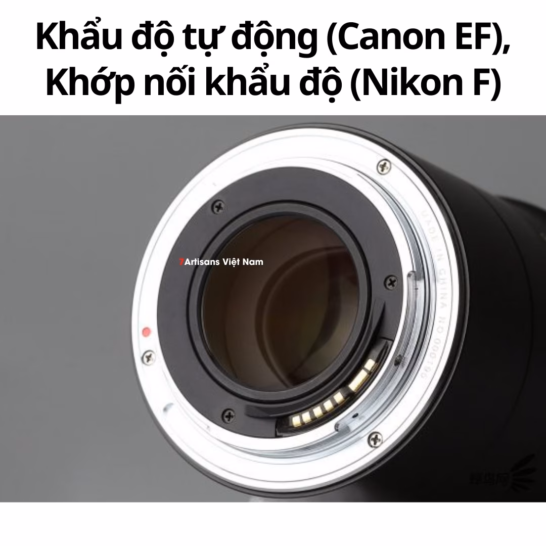 Laowa 100mm F2.8 2X Ultra Macro APO