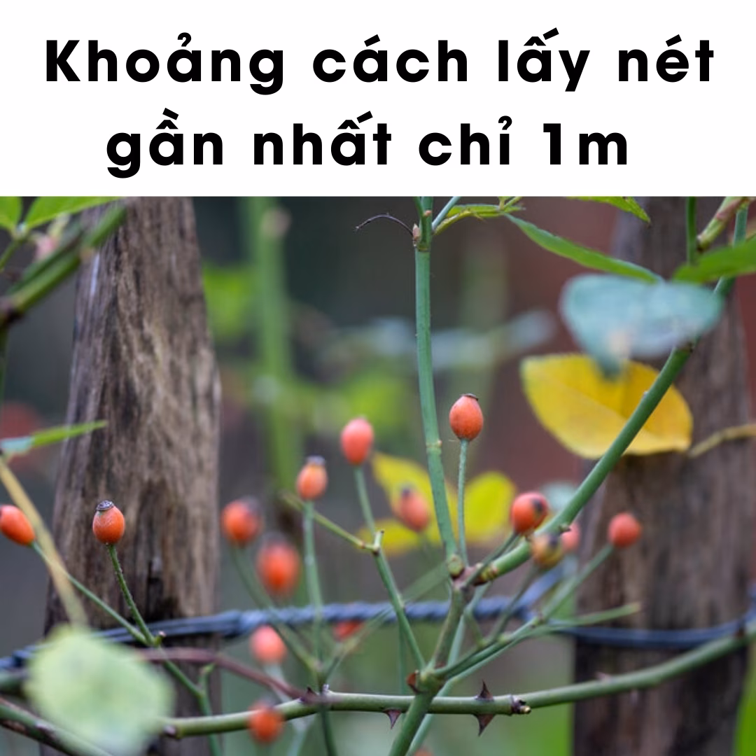 Zhong Yi Mitakon Creator 135mm F2.5 Full-Frame