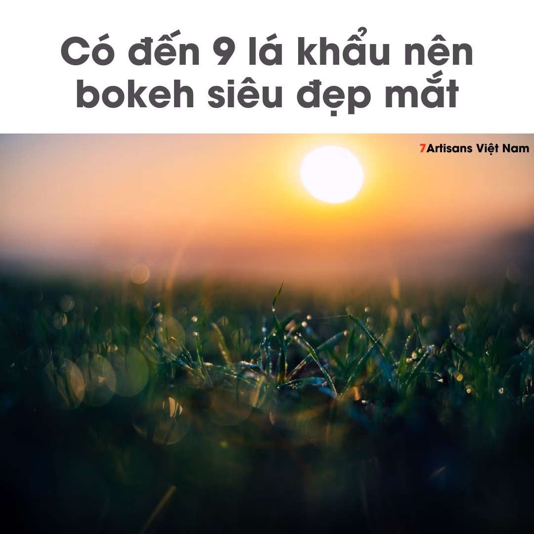 Mitakon Zhongyi Speedmaster 65mm F1.4