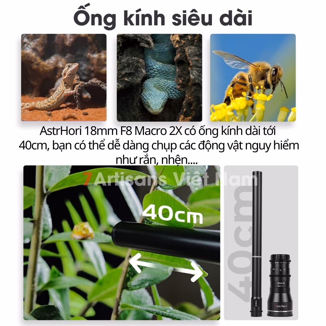 AstrHori 18mm F8  Probe lens Macro 2:1 – Lens siêu macro