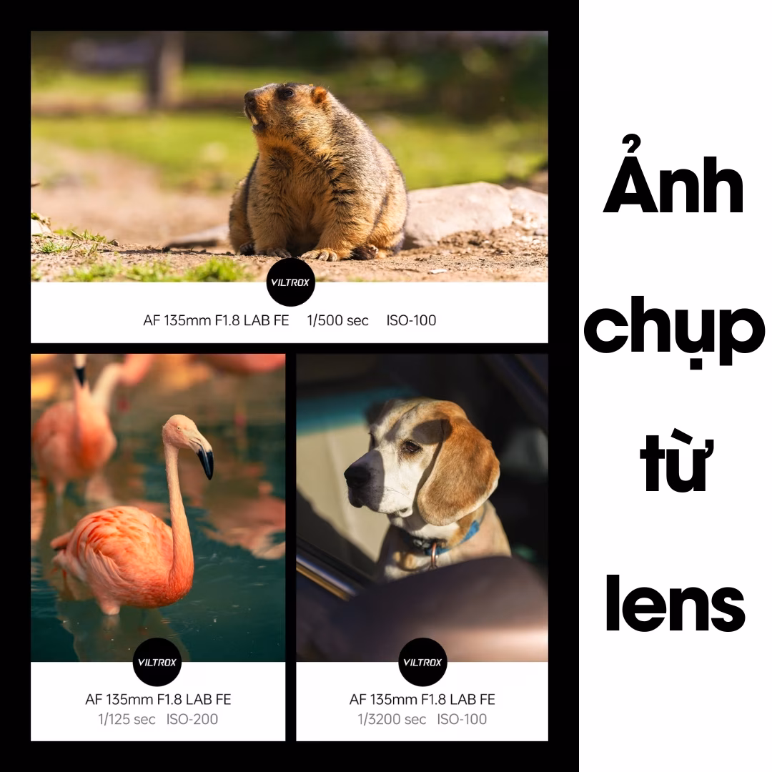 Viltrox AF 135mm F1.8 LAB cho Full-Frame
