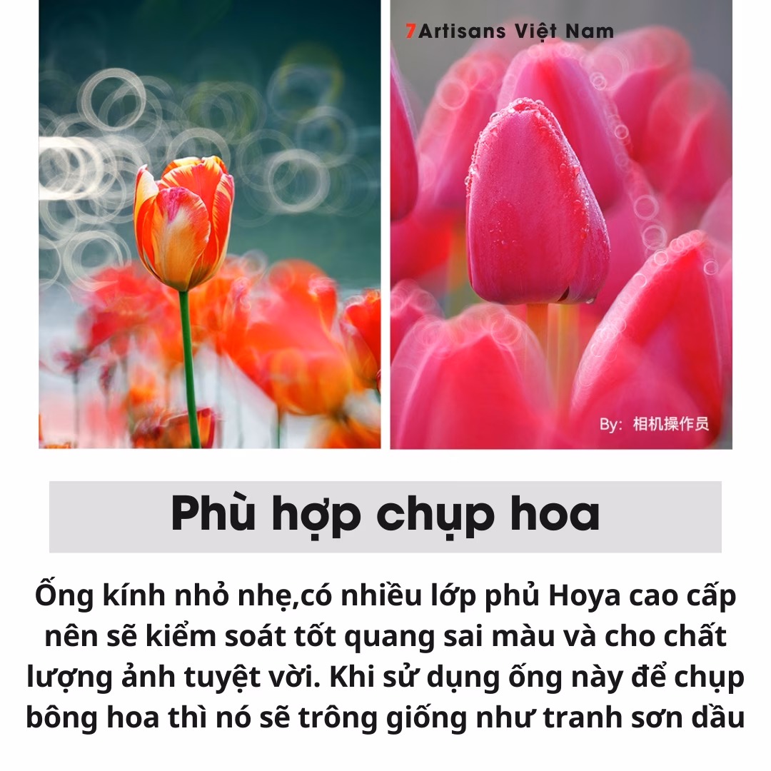 TTArtisan 250mm F5.6 Reflex Doughnut Bokeh Full-Frame – Lens siêu chân dung xóa phông giá rẻ – Bokeh lung linh