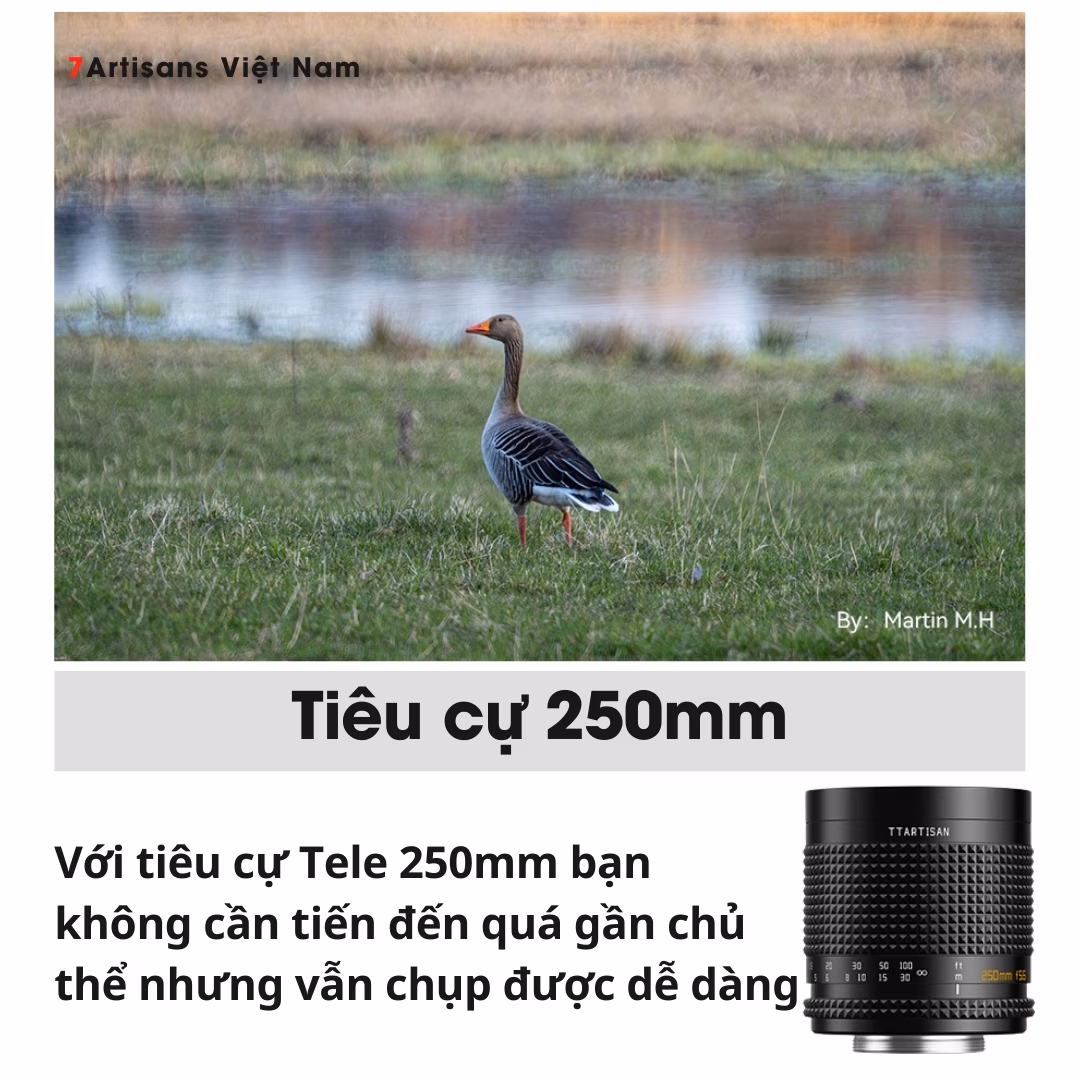 TTArtisan 250mm F5.6 Reflex Doughnut Bokeh Full-Frame – Lens siêu chân dung xóa phông giá rẻ – Bokeh lung linh