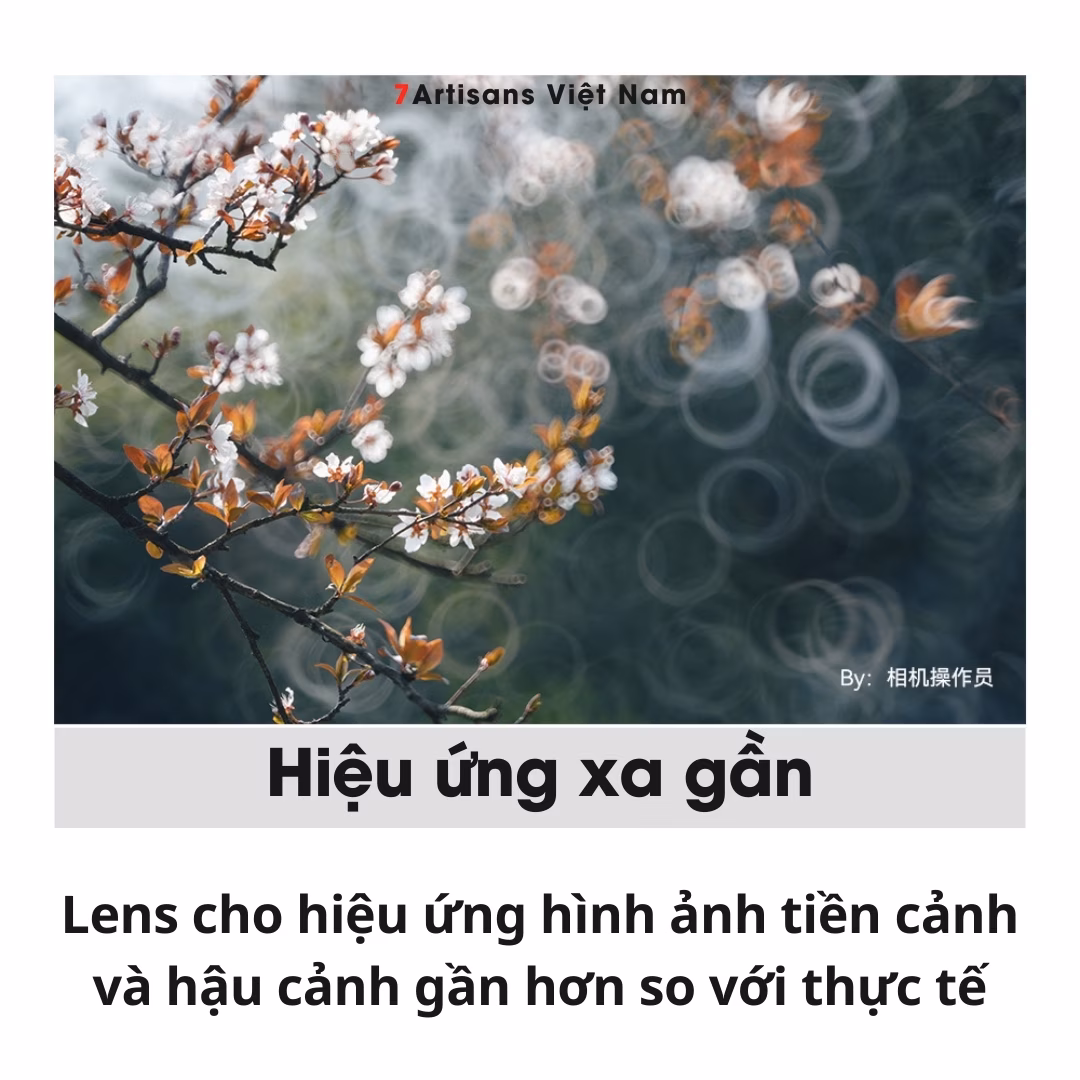 TTArtisan 250mm F5.6 Reflex Doughnut Bokeh Full-Frame – Lens siêu chân dung xóa phông giá rẻ – Bokeh lung linh