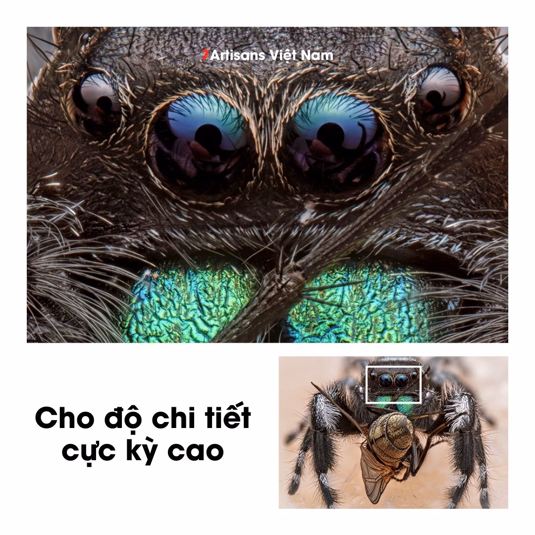 TTArtisan 100mm F2.8 Macro 2X cho Full-Frame