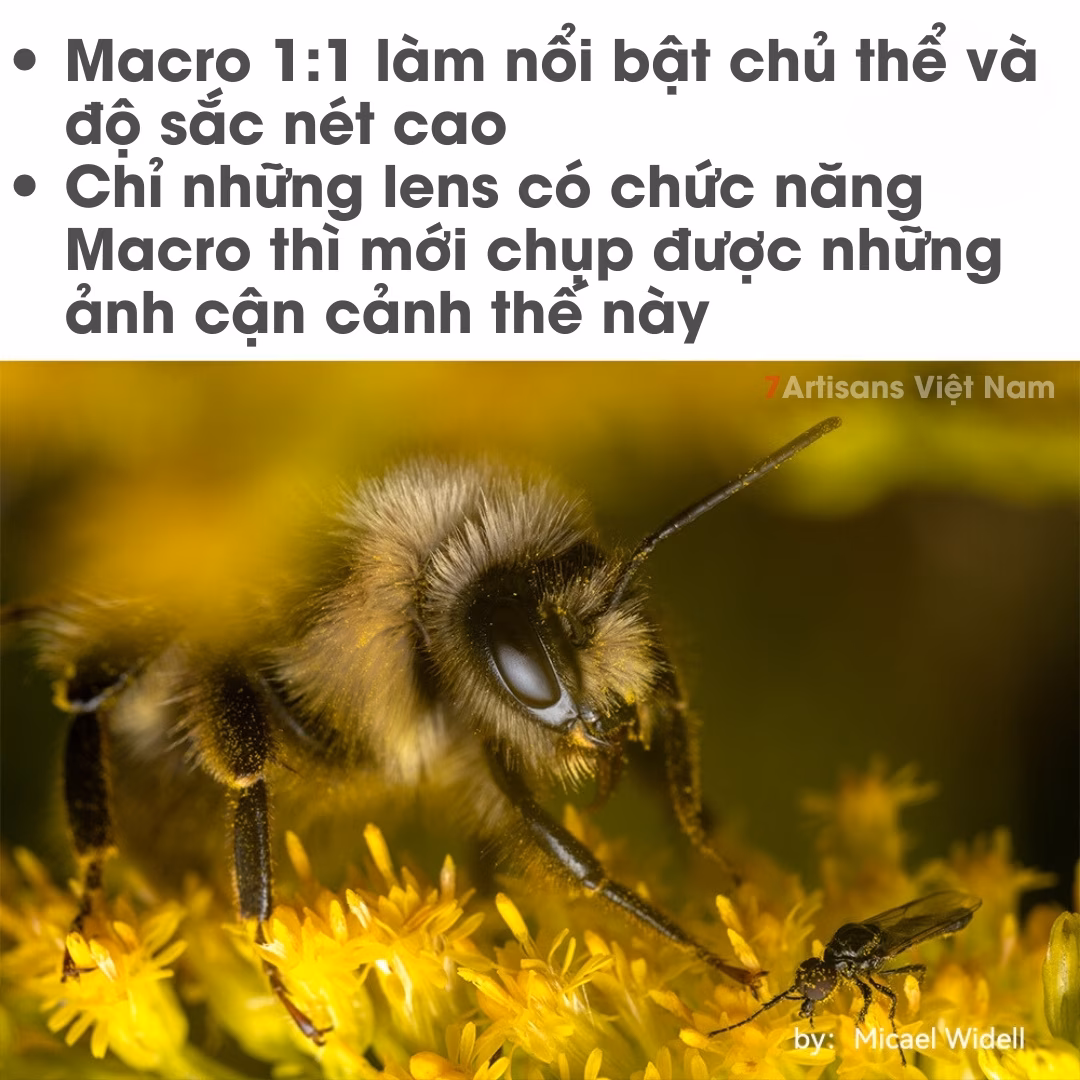 TTArtisan 40mm F2.8 Macro 1:1 – Chân dung