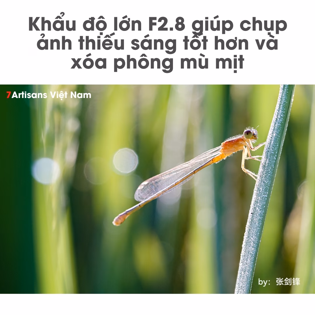 TTArtisan 40mm F2.8 Macro 1:1 – Chân dung