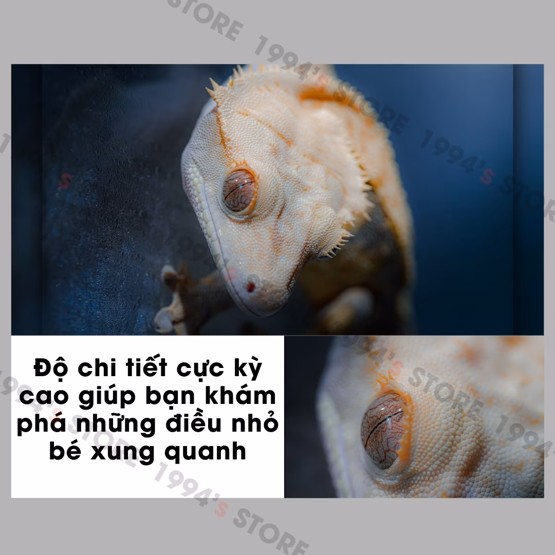 Brightin Star 60mm F2.8 Super Macro 2:1