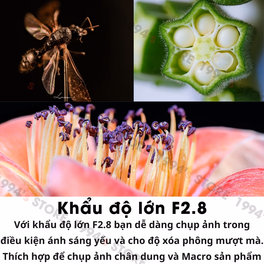 Brightin Star 60mm F2.8 Super Macro 2:1