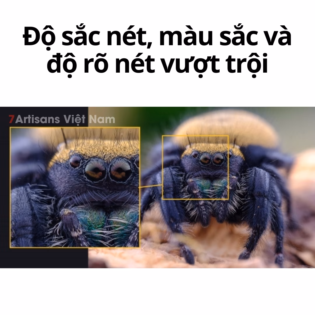 Laowa 65mm F2.8 2X Ultra Macro APO dành cho APS-C