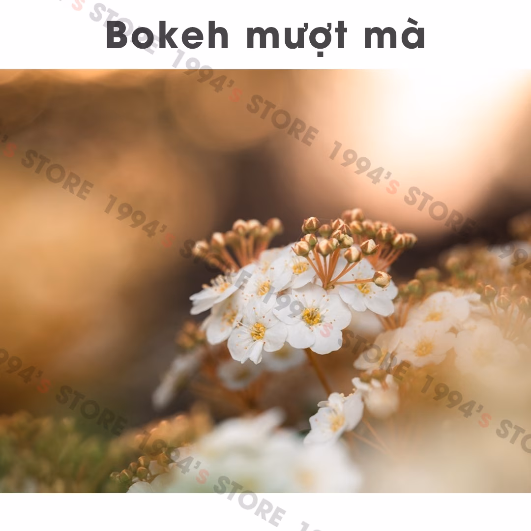 Laowa 90mm F2.8 2X Ultra Macro APO dành cho FullFrame