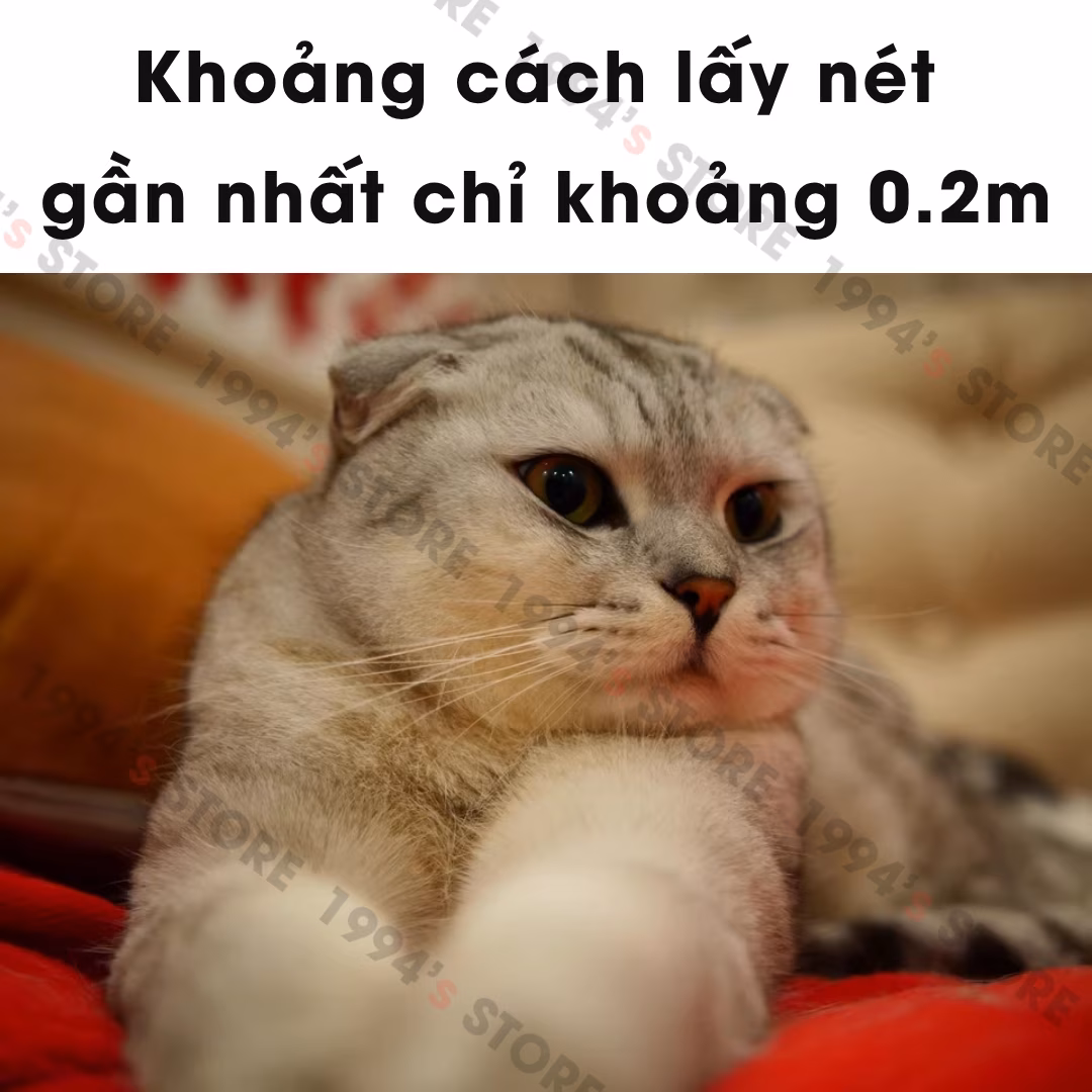 Yongnuo 25mm F1.7 Auto Focus -  Lens chân dung đa dụng dành cho ngàm M4/3