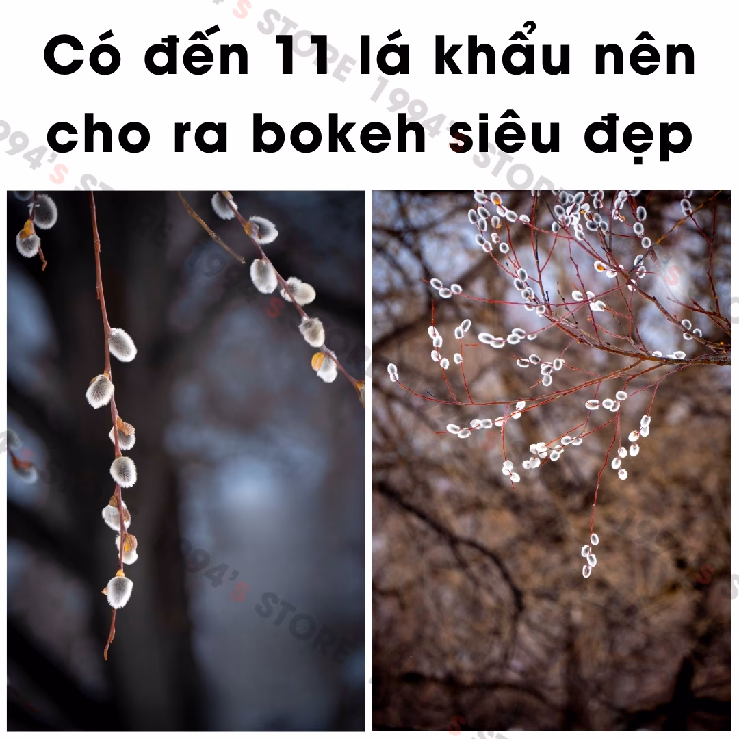 7Artisans 24mm F1.8 Auto Focus Full-Frame lens góc rộng đa dụng