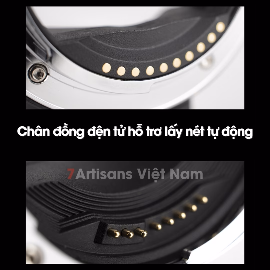 nơi bán ngàm 7nghệ nhân ef-nz uy tín