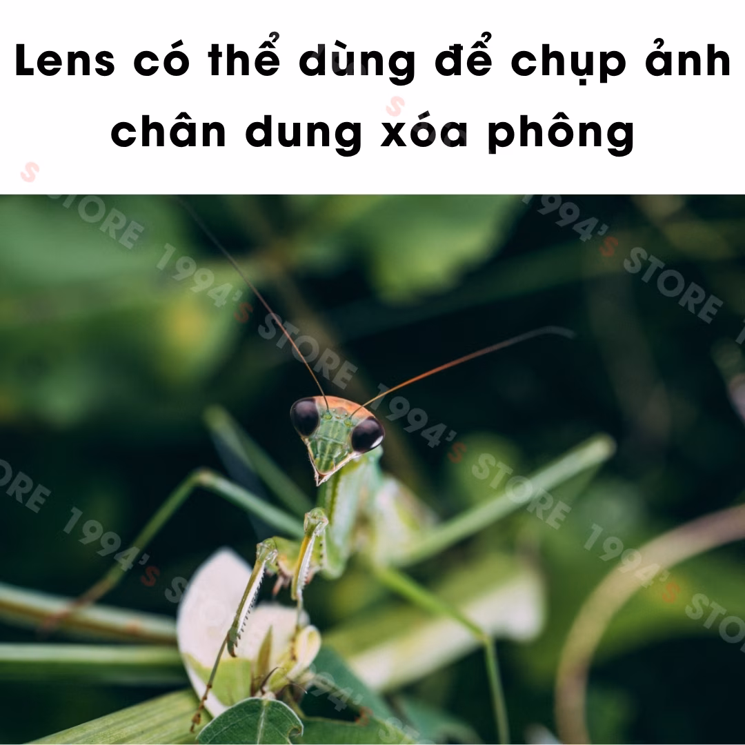 Lens quay phim Macro 2:1 cho Mirrorless