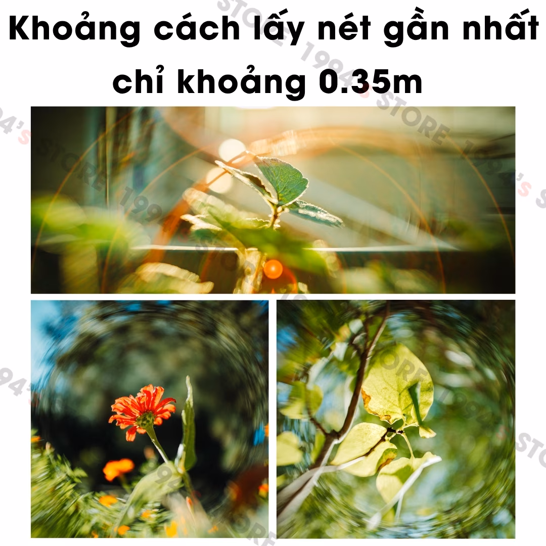 1994S Store đại lý 7Artisans chính thức
