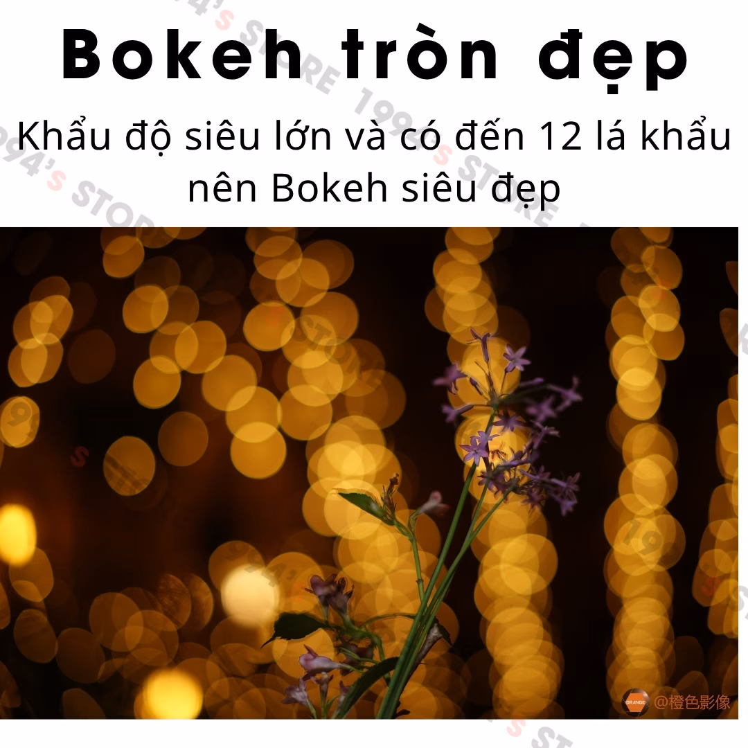 Đánh giá lens 7Artisans 75mm F1.25 thực tế