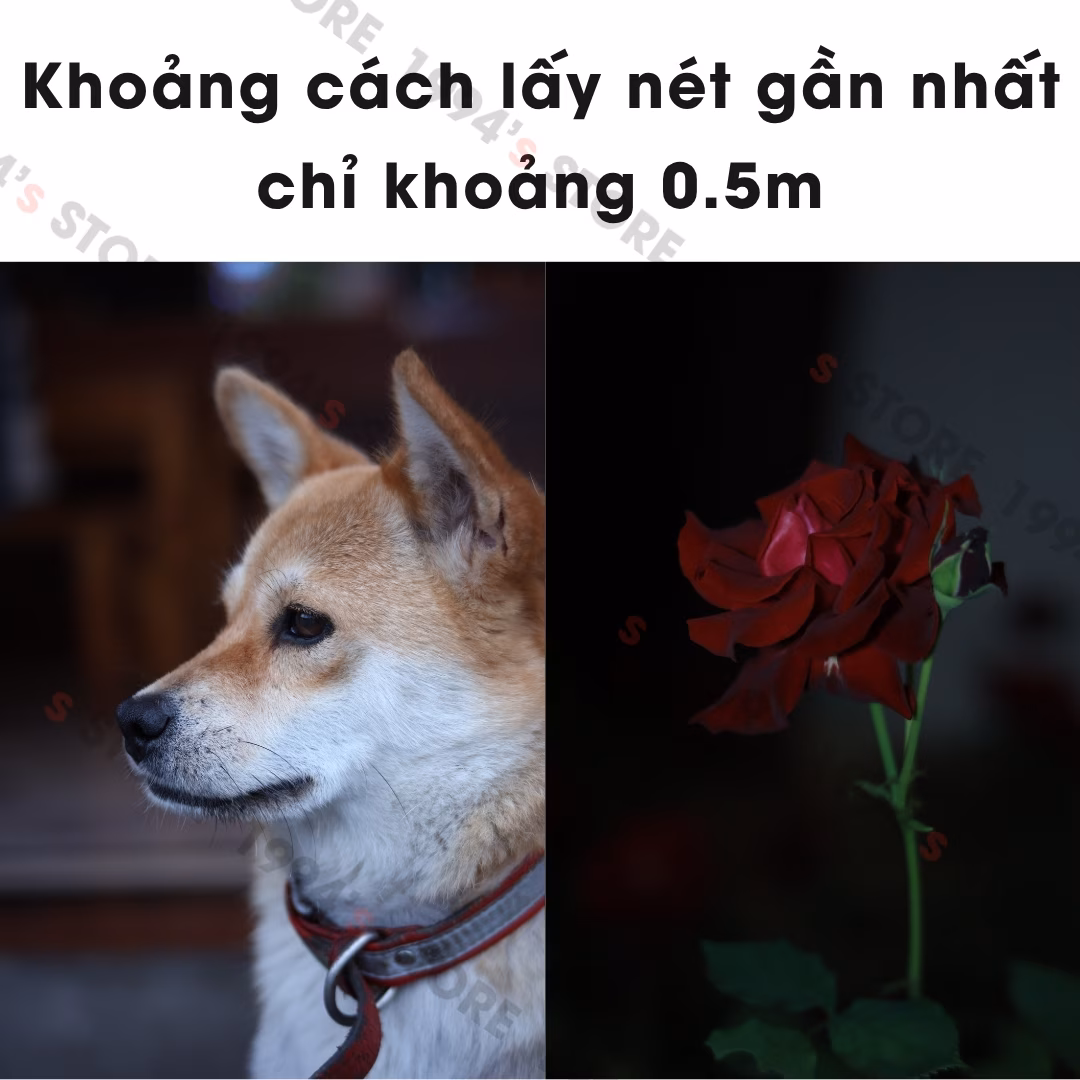 Mua lens TTArtisan 50mm F2 ở đâu