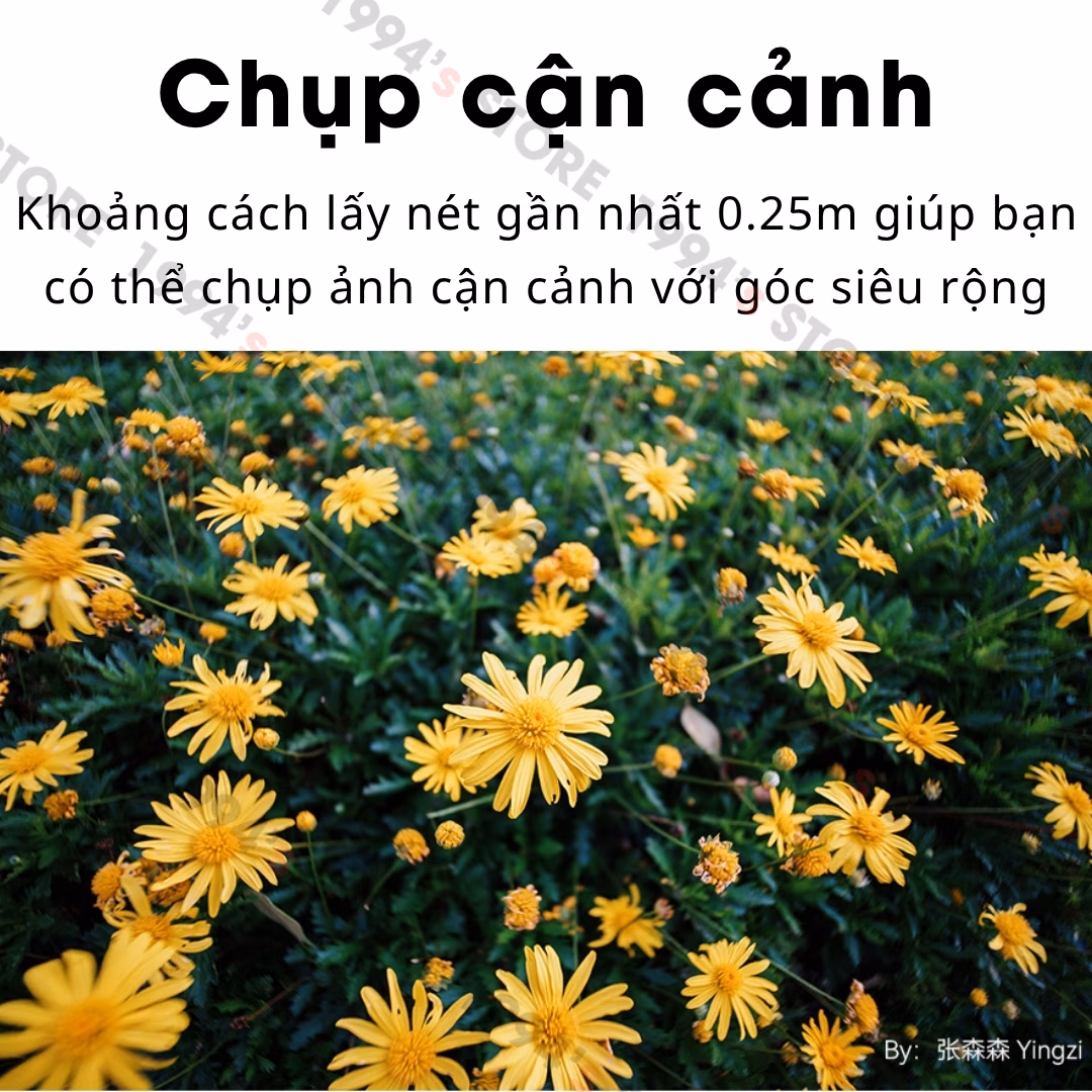 Ống kính siêu rộng không méo