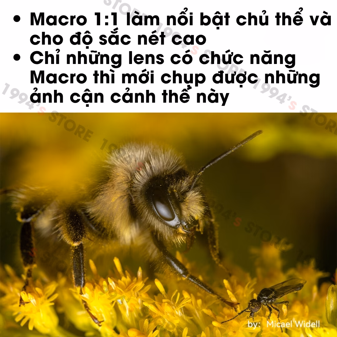 Ống kính TTArtisan 40mm F2.8 Macro 1:1