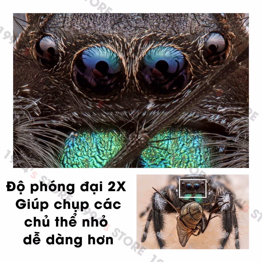 TTArtisan 100mm F2.8 Ultra Macro 2X Tilt-Shift (Full-Frame)