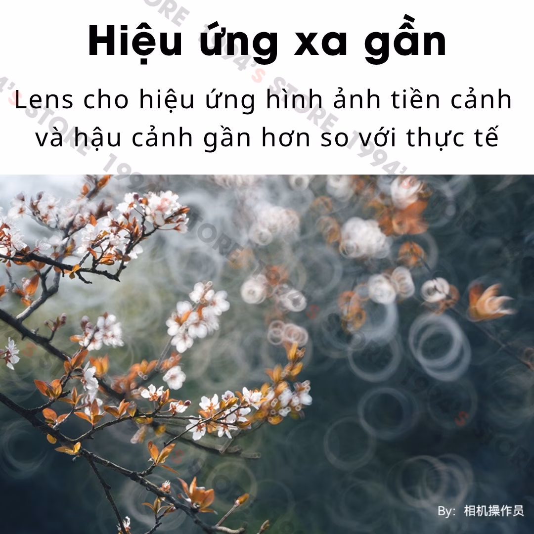 Bokeh bánh quy (Doughnut Bokeh)