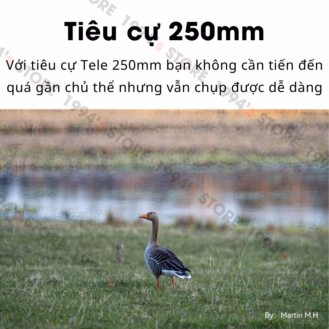 TTArtisan 250mm F5.6 Reflex Doughnut Bokeh Full-Frame – Siêu chân dung xóa phông