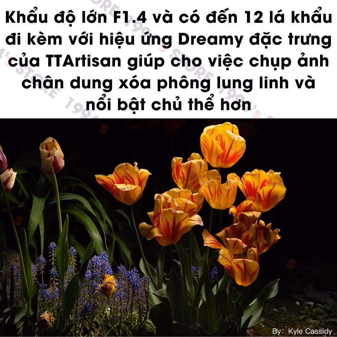 TTArtisan 50mm F1.4 ASPH chính hãng