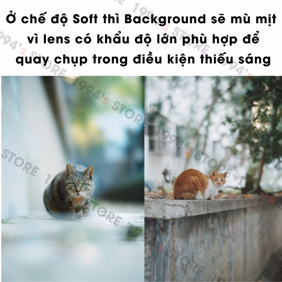 Lens TTArtisan 85mm T2.1 chính hãng