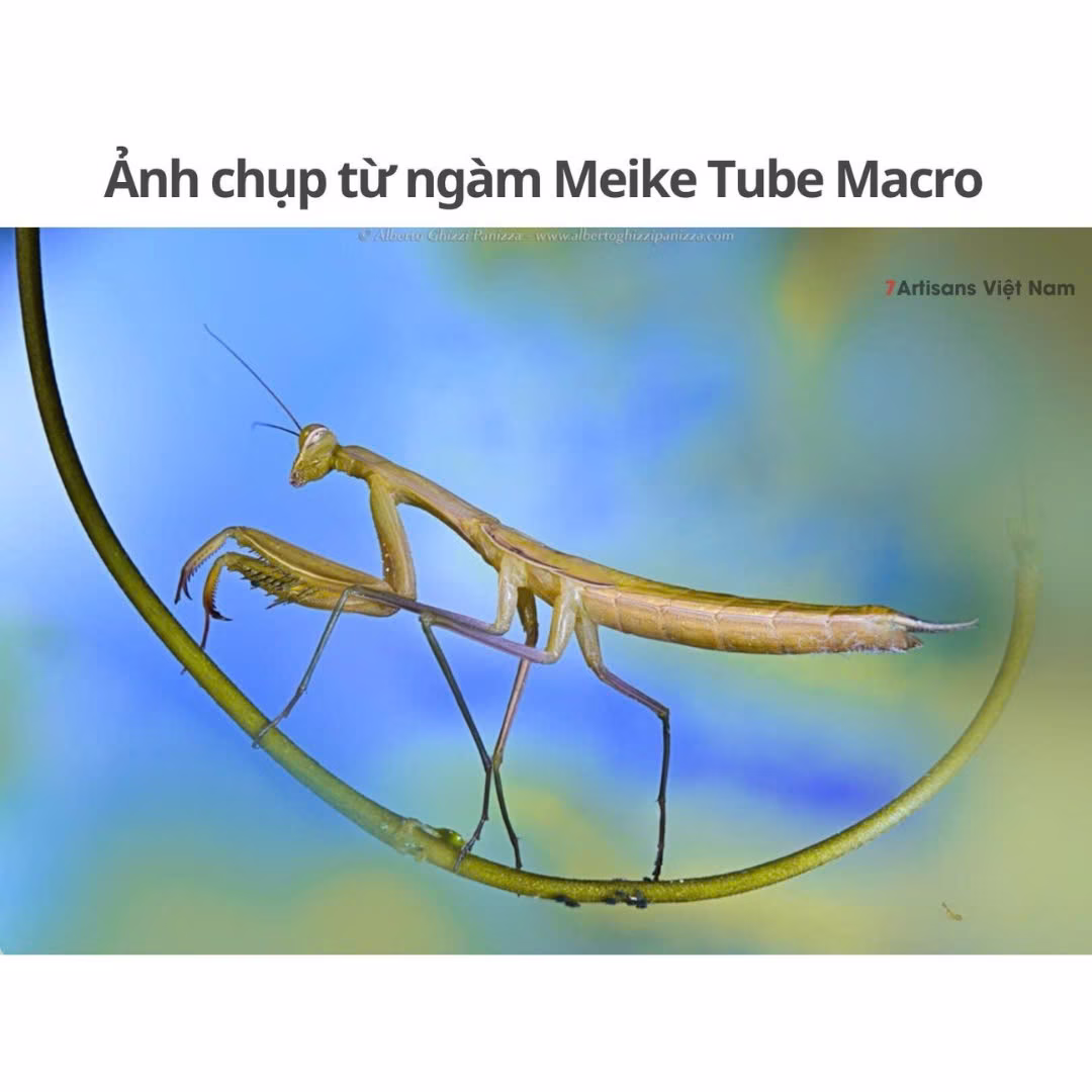 Phụ kiện chụp Macro Meike