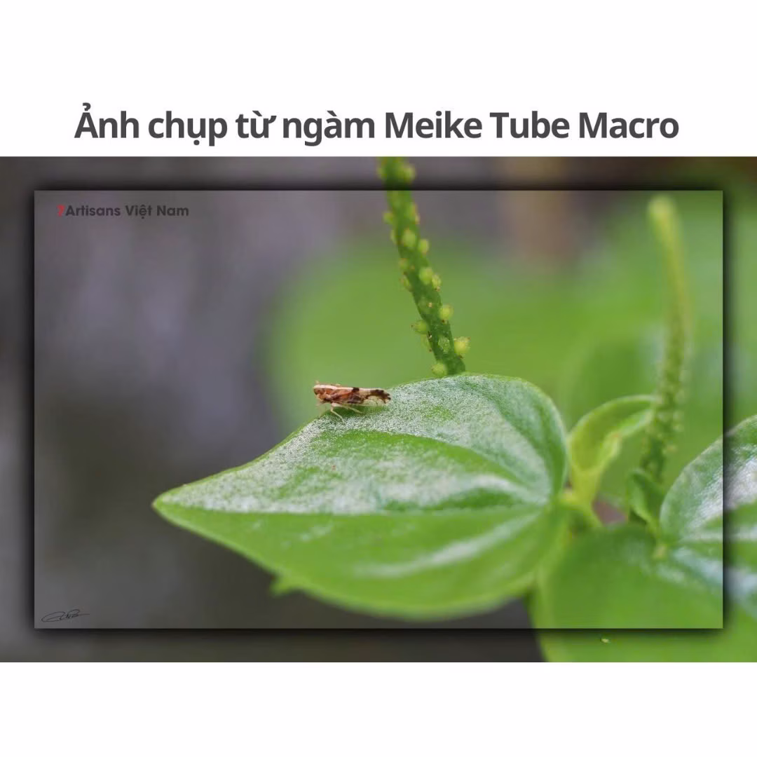 Tube macro lấy nét tự động AF