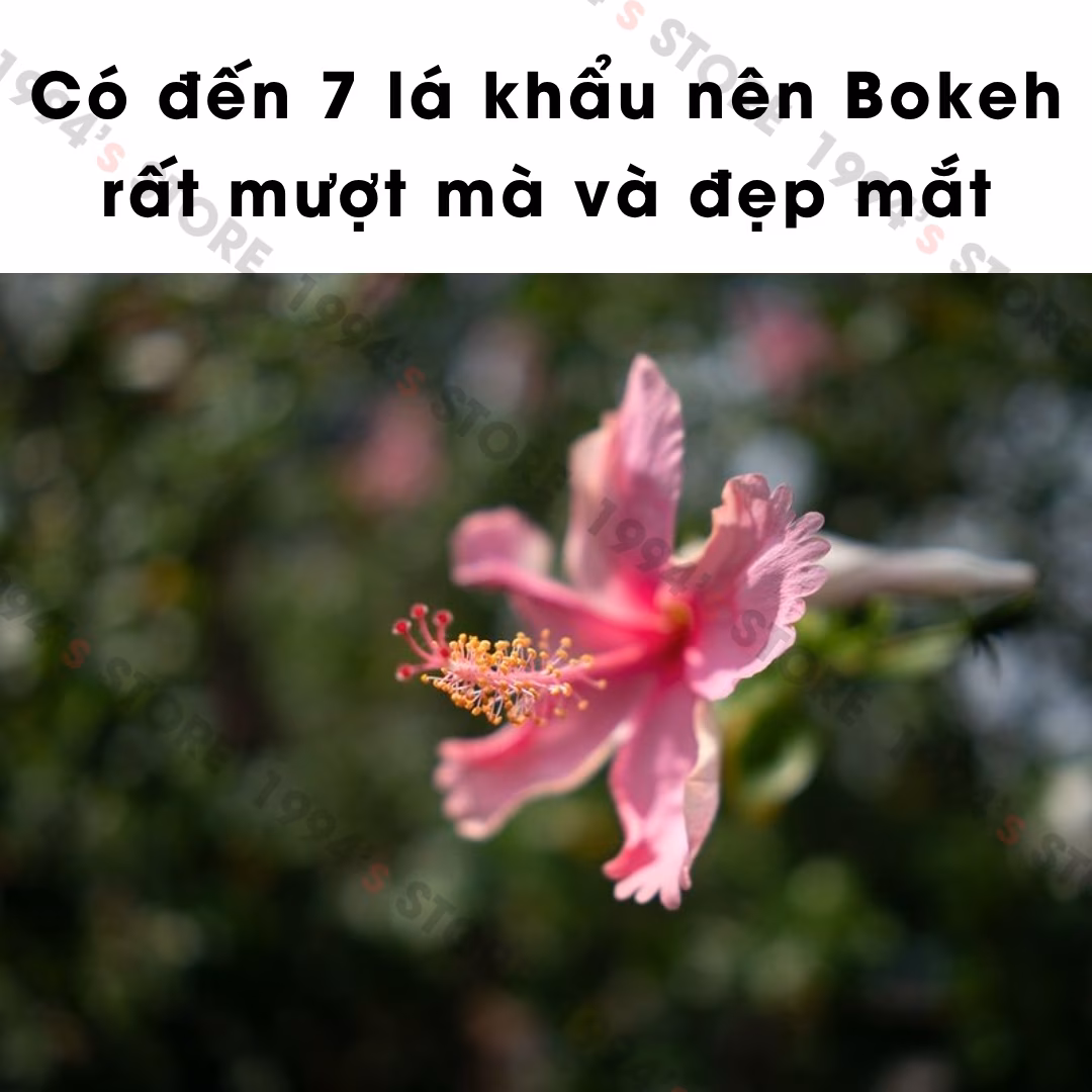 yongnuo 17mm f1.7 bảo hành 12 tháng