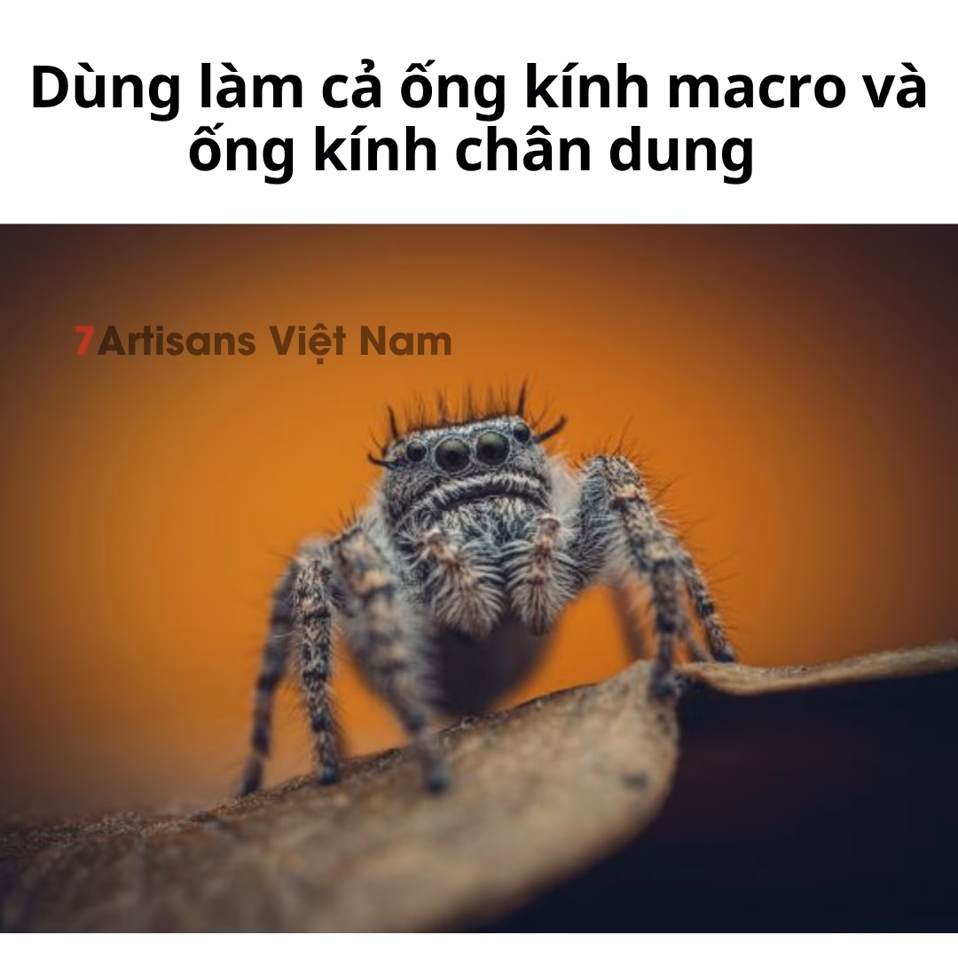 Đánh giá chi tiết Laowa 85mm F5.6 2X Ultra Macro APO