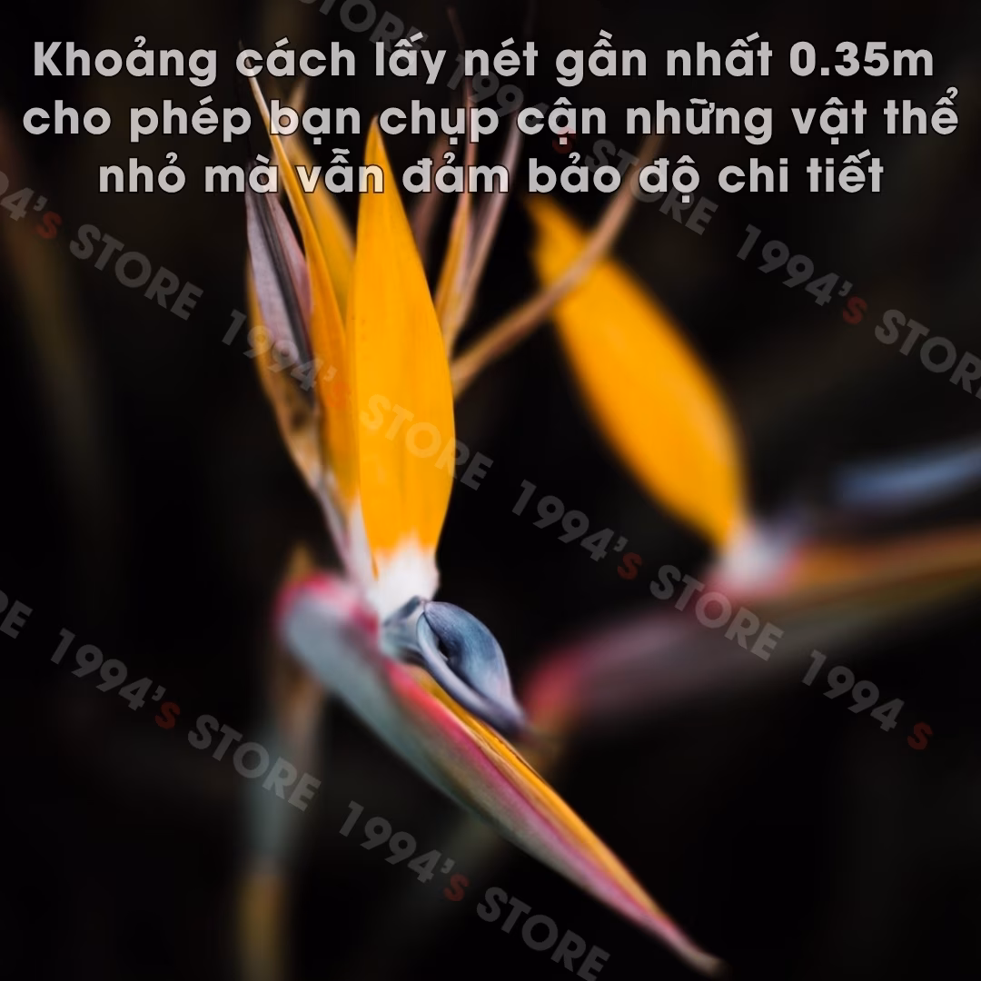 Đánh giá chi tiết Mitakon 35mm f0.95 Mark II