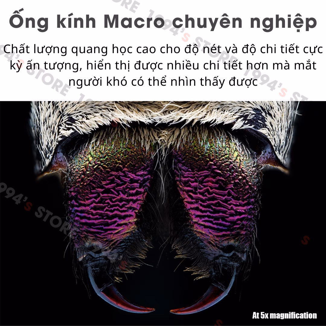 Mua lens AstrHori chính hãng ở đâu