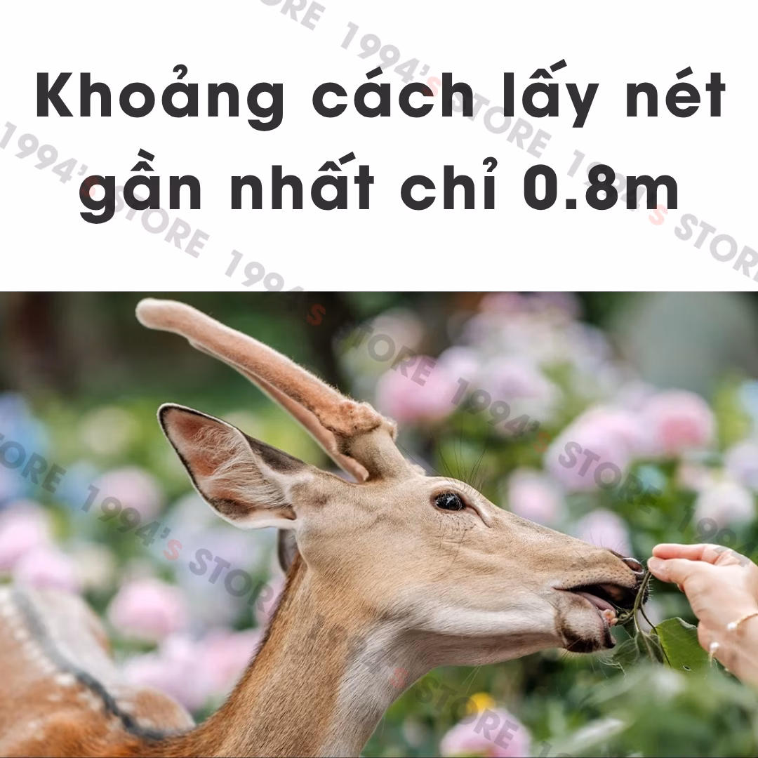 Ống kính chân dung cho Sony Full Frame