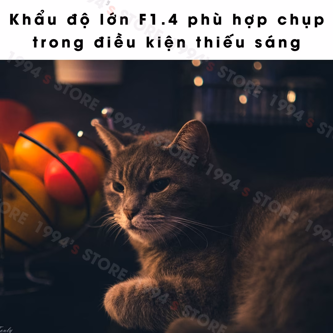 Ống kính Viltrox 33mm F1.4 AF max max khẩu