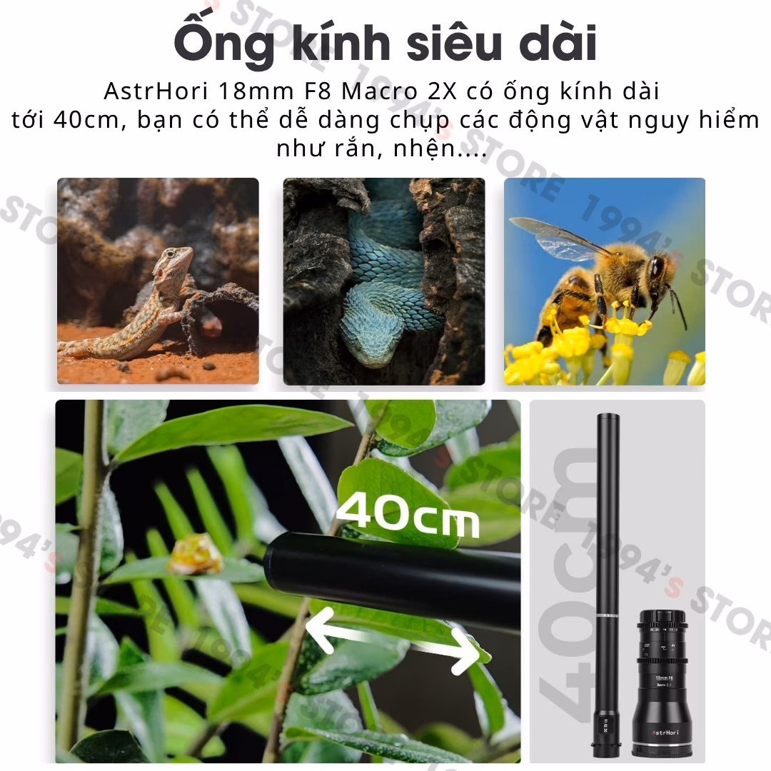 Ống kính macro chống nước đầu lens