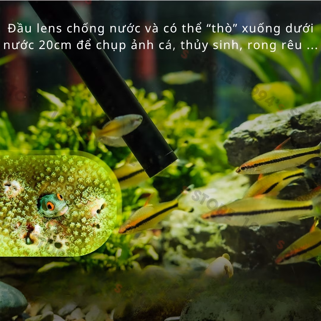 Ống kính macro dạng đầu dò
