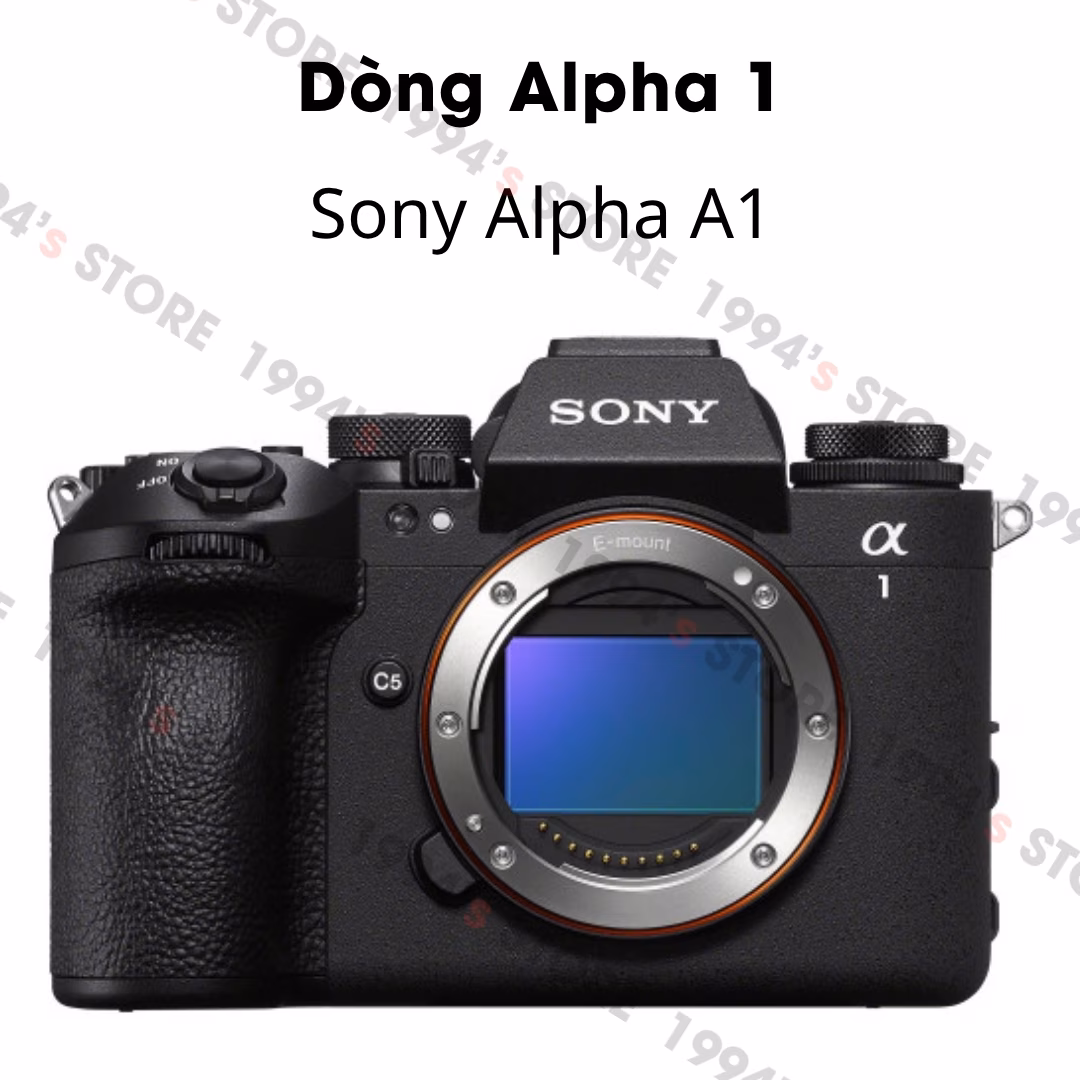 pin sony alpha fz100